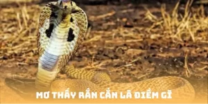 Mơ thấy rắn cắn là điềm gì